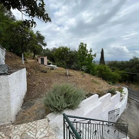 Kardami *